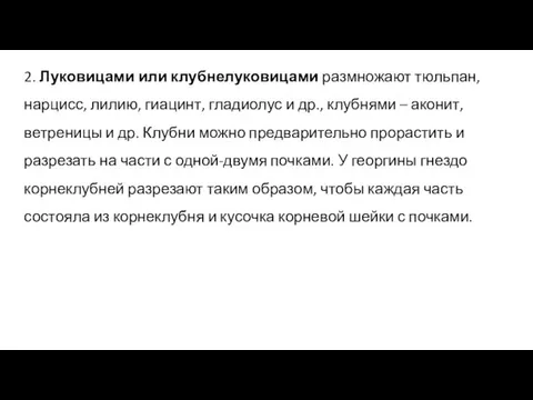 2. Луковицами или клубнелуковицами размножают тюльпан, нарцисс, лилию, гиацинт, гладиолус и