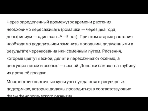 Через определенный промежуток времени растения необходимо пересаживать (ромашки — через два