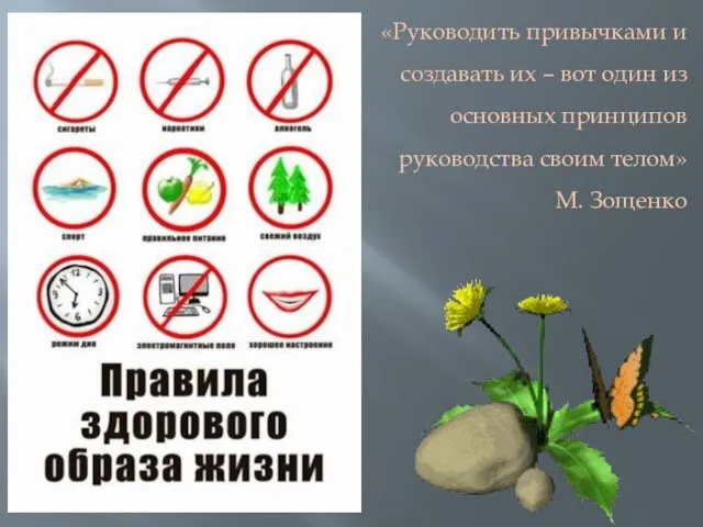 «Руководить привычками и создавать их – вот один из основных принципов руководства своим телом» М. Зощенко