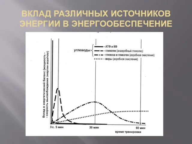 ВКЛАД РАЗЛИЧНЫХ ИСТОЧНИКОВ ЭНЕРГИИ В ЭНЕРГООБЕСПЕЧЕНИЕ