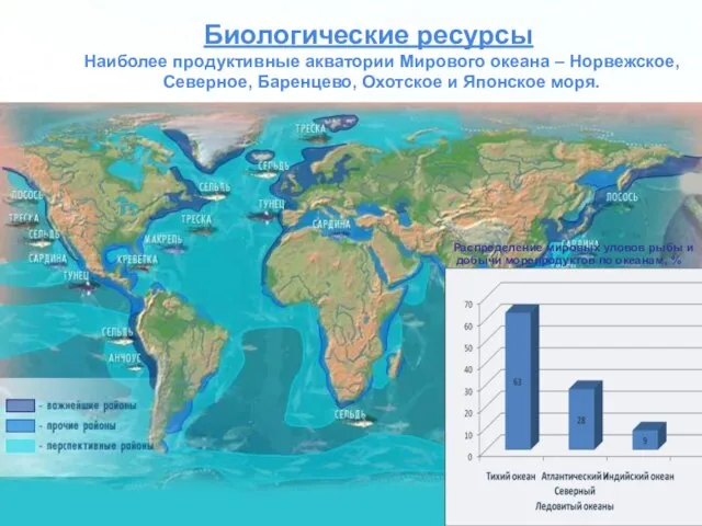 Биологические ресурсы Наиболее продуктивные акватории Мирового океана – Норвежское, Северное, Баренцево,