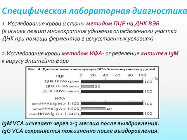 Специфическая лабораторная диагностика IgM VCA исчезает через 2-3 месяца после выздровления.