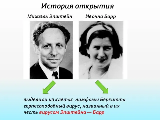 История открытия Михаэль Эпштейн Ивонна Барр выделили из клеток лимфомы Беркитта