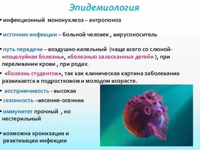 Эпидемиология инфекционный мононуклеоз – антропоноз источник инфекции – больной человек ,