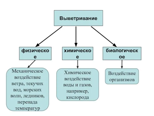 Выветривание физическое химическое биологическое Механическое воздействие ветра, текучих вод, морских волн,