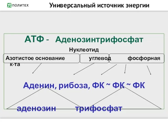 Универсальный источник энергии АТФ - Аденозинтрифосфат Нуклеотид Азотистое основание углевод фосфорная