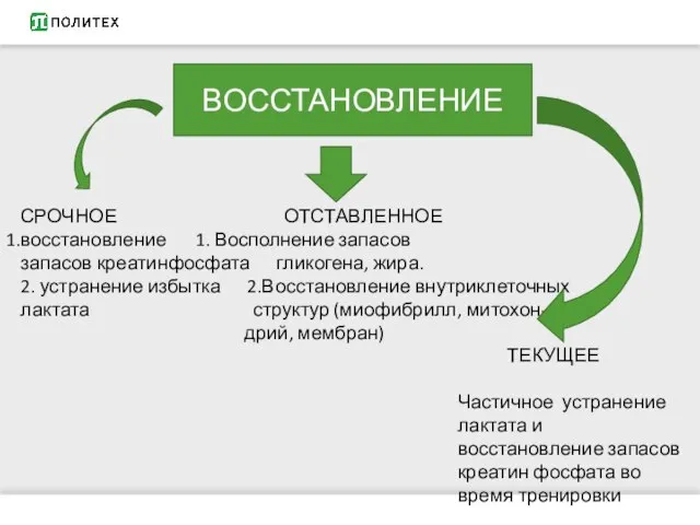 СРОЧНОЕ ОТСТАВЛЕННОЕ восстановление 1. Восполнение запасов запасов креатинфосфата гликогена, жира. 2.