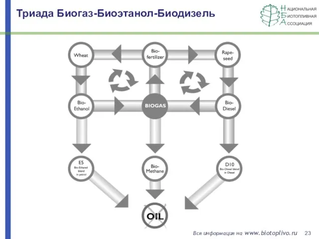 Триада Биогаз-Биоэтанол-Биодизель