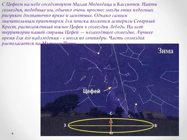 С Цефеем на небе соседствуют Малая Медведица и Кассиопея. Найти созвездия,