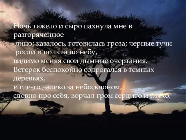 Ночь тяжело и сыро пахнула мне в разгоряченное лицо; казалось, готовилась