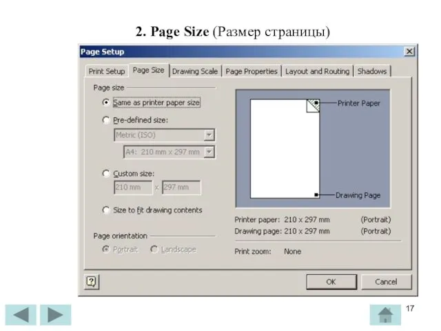 2. Page Size (Размер страницы)