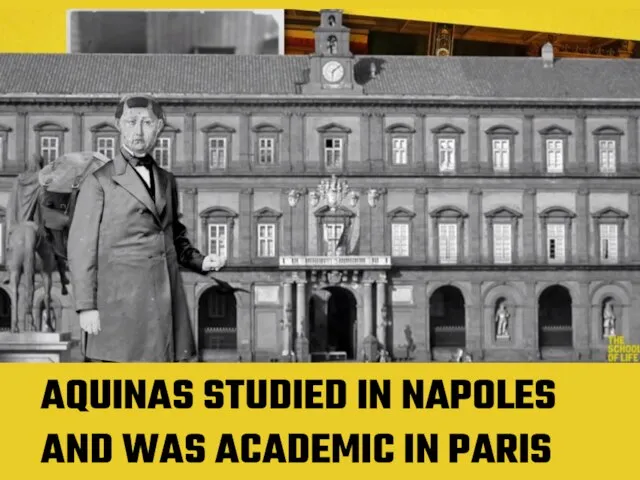 AQUINAS STUDIED IN NAPOLES AND WAS ACADEMIC IN PARIS