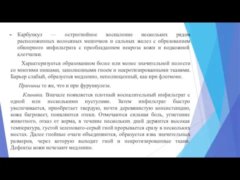 Карбункул — острогнойное воспаление нескольких рядом расположенных волосяных мешочков и сальных