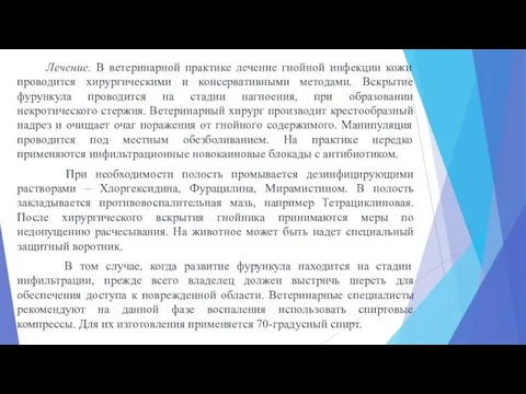 Лечение. В ветеринарной практике лечение гнойной инфекции кожи проводится хирургическими и