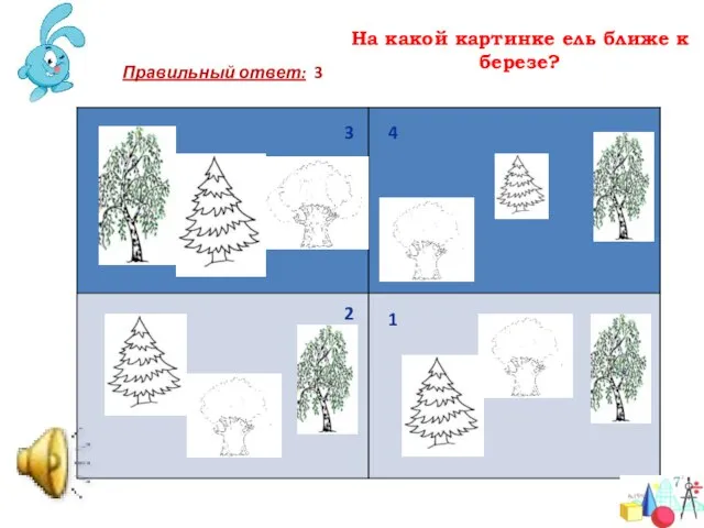 На какой картинке ель ближе к березе? 3 4 1 2 Правильный ответ: 3