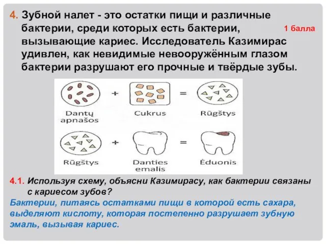 4. Зубной налет - это остатки пищи и различные бактерии, среди