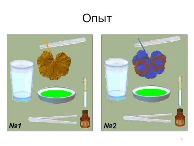 Опыт №1 №2