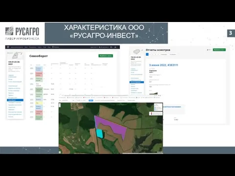 3 ХАРАКТЕРИСТИКА ООО «РУСАГРО-ИНВЕСТ»