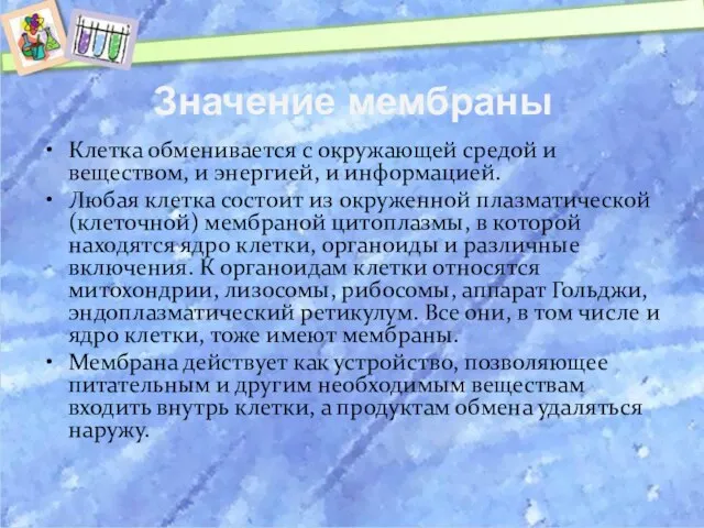 Значение мембраны Клетка обменивается с окружающей средой и веществом, и энергией,