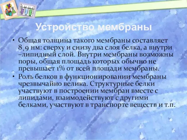 Устройство мембраны Общая толщина такого мембраны составляет 8¸9 нм: сверху и