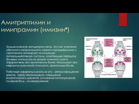 Амитриптилин и имипрамин (имизин♠) Трициклические антидепрессанты. За счет угнетения обратного нейронального