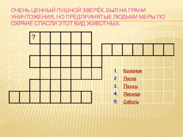 ОЧЕНЬ ЦЕННЫЙ ПУШНОЙ ЗВЕРЁК. БЫЛ НА ГРАНИ УНИЧТОЖЕНИЯ, НО ПРЕДПРИНЯТЫЕ ЛЮДЬМИ