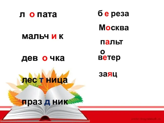 л о пата мальч и к дев о чка лес т