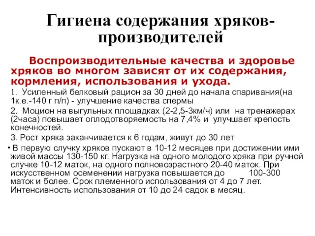 Гигиена содержания хряков-производителей Воспроизводительные качества и здоровье хряков во многом зависят