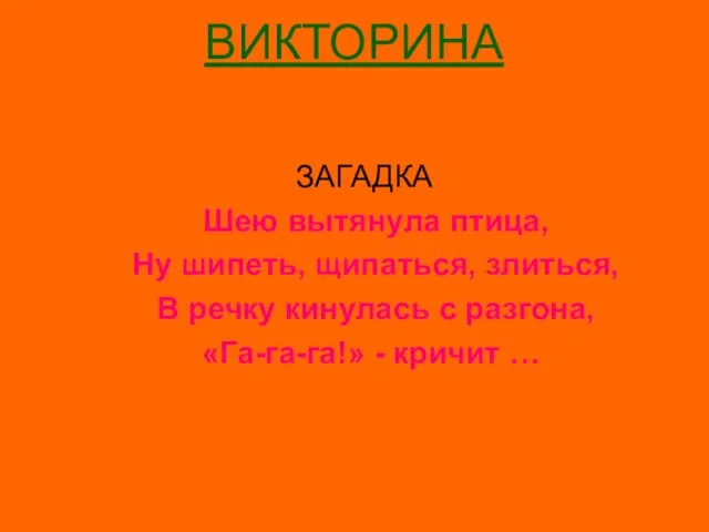 ВИКТОРИНА Вопрос № 13 ЗАГАДКА Шею вытянула птица, Ну шипеть, щипаться,