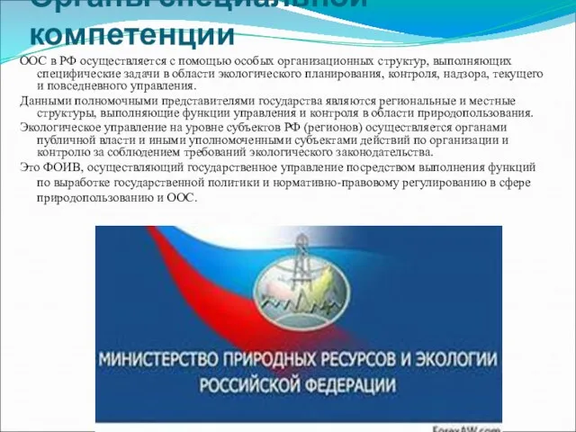 Органы специальной компетенции ООС в РФ осуществляется с помощью особых организационных