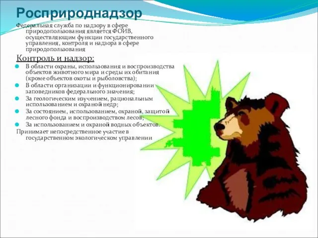 Росприроднадзор Федеральная служба по надзору в сфере природопользования является ФОИВ, осуществляющим