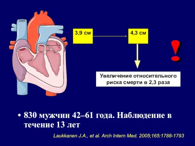 830 мужчин 42–61 года. Наблюдение в течение 13 лет 3,9 см