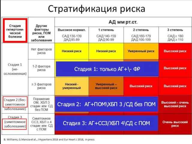 Стадия 2: АГ+ПОМ\ХБП 3 /СД без ПОМ Стадия 1: только АГ+\-