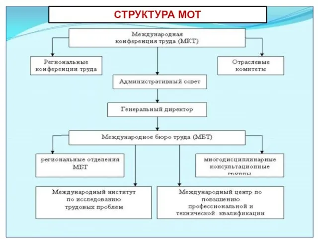 СТРУКТУРА МОТ