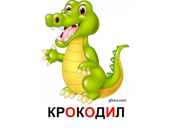 КРОКОДИЛ