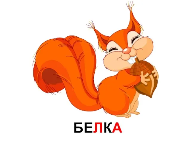 БЕЛКА