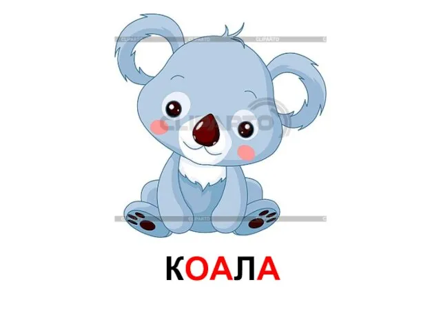 КОАЛА