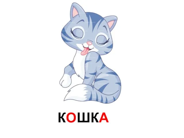 КОШКА