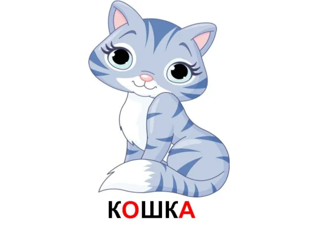 КОШКА