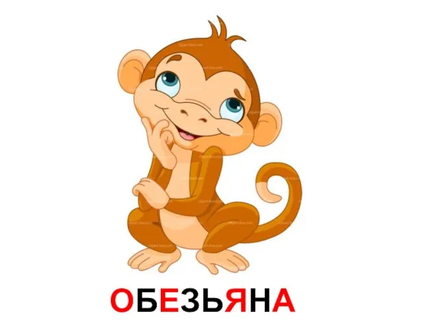 ОБЕЗЬЯНА