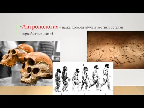 Антропология – наука, которая изучает костные останки первобытных людей.