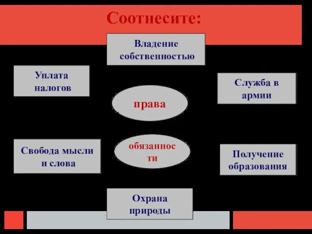 Соотнесите: права обязанности Уплата налогов Служба в армии Охрана природы Получение