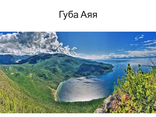 Губа Аяя