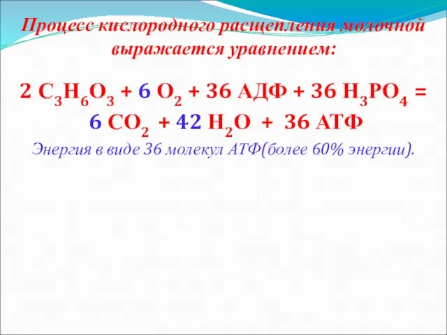 Процесс кислородного расщепления молочной выражается уравнением: 2 С3Н6О3 + 6 О2