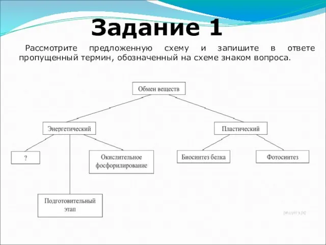 Рассмотрите предложенную схему и запишите в ответе пропущенный термин, обозначенный на схеме знаком вопроса. Задание 1