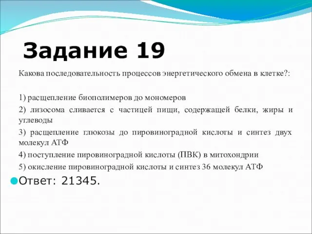 Задание 19 Какова последовательность процессов энергетического обмена в клетке?: 1) расщепление