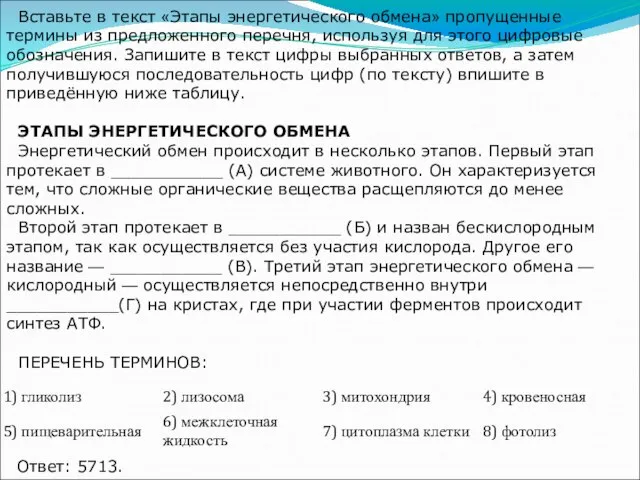 Вставьте в текст «Этапы энергетического обмена» пропущенные термины из предложенного перечня,