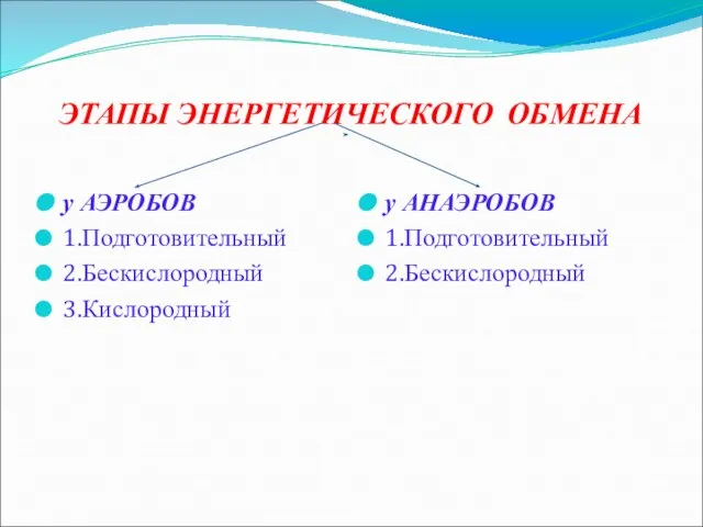 ЭТАПЫ ЭНЕРГЕТИЧЕСКОГО ОБМЕНА у АЭРОБОВ 1.Подготовительный 2.Бескислородный 3.Кислородный у АНАЭРОБОВ 1.Подготовительный 2.Бескислородный