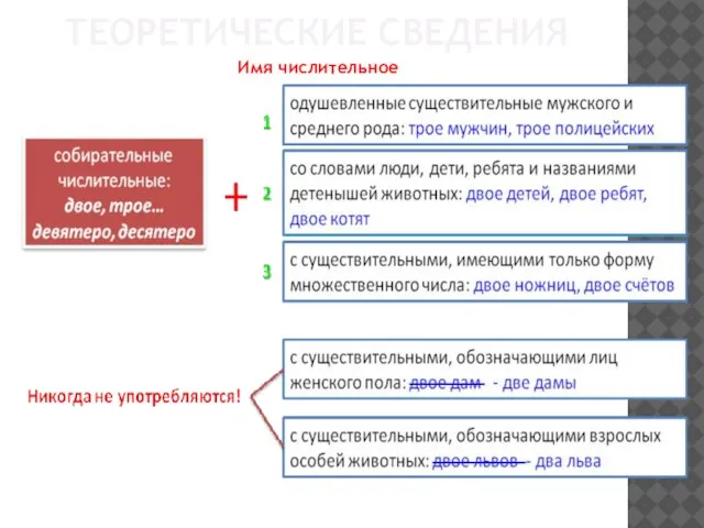 ТЕОРЕТИЧЕСКИЕ СВЕДЕНИЯ Имя числительное