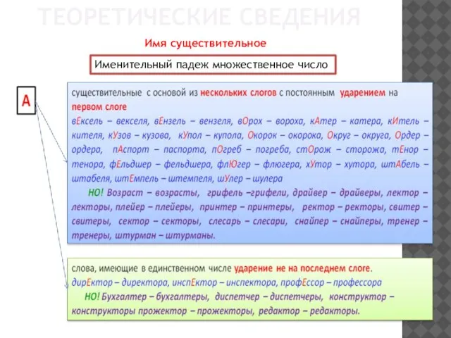 ТЕОРЕТИЧЕСКИЕ СВЕДЕНИЯ Имя существительное Именительный падеж множественное число